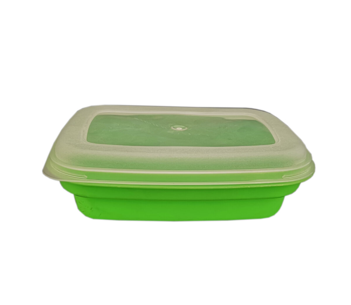 Plastic sandwich container Clear lid