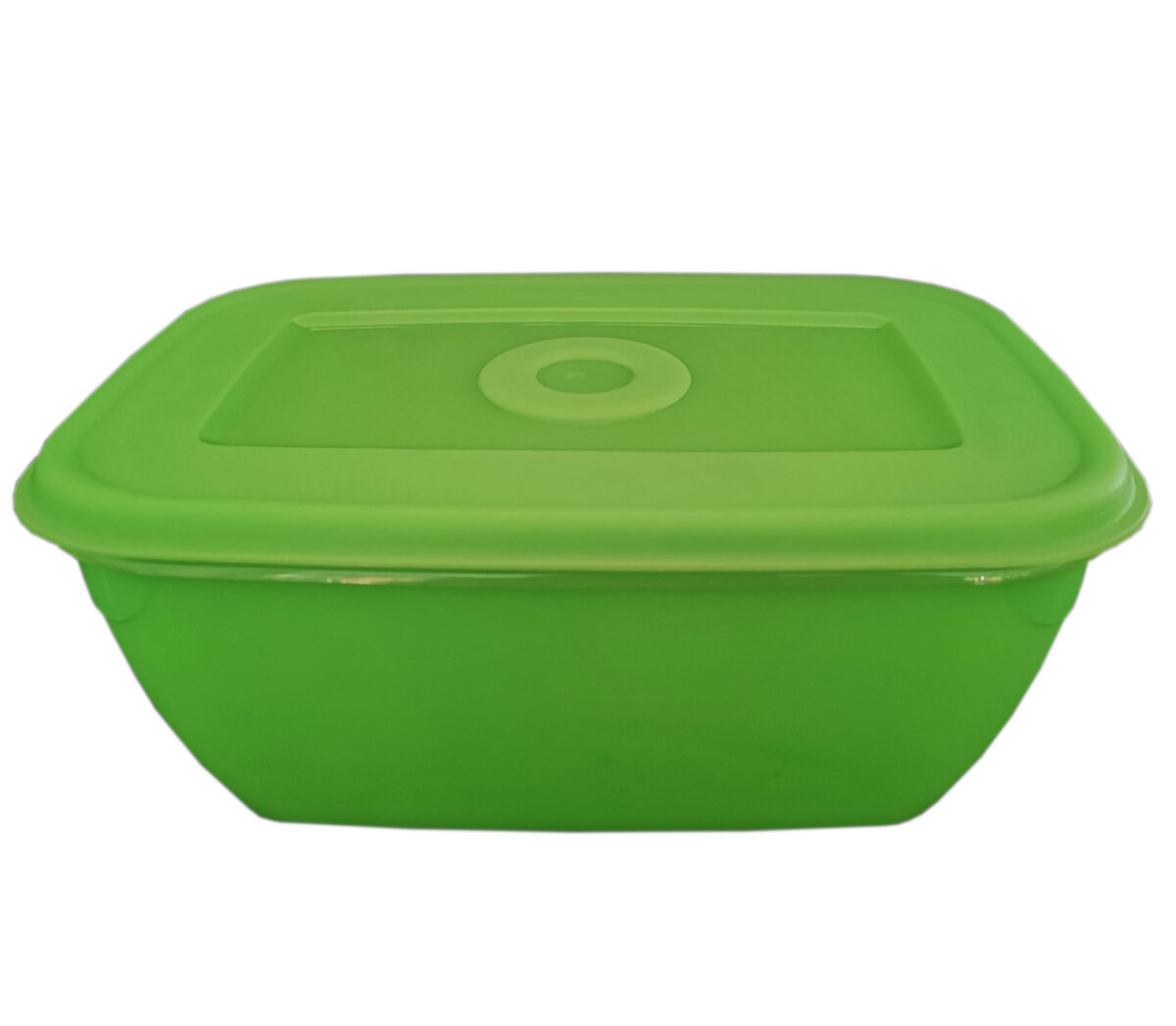 Plastic Container Rectangular Matching Lid