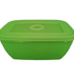 Plastic Container Rectangular Matching Lid