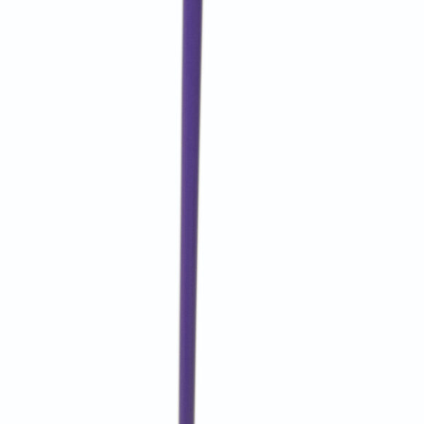 Hard Bristle Broom