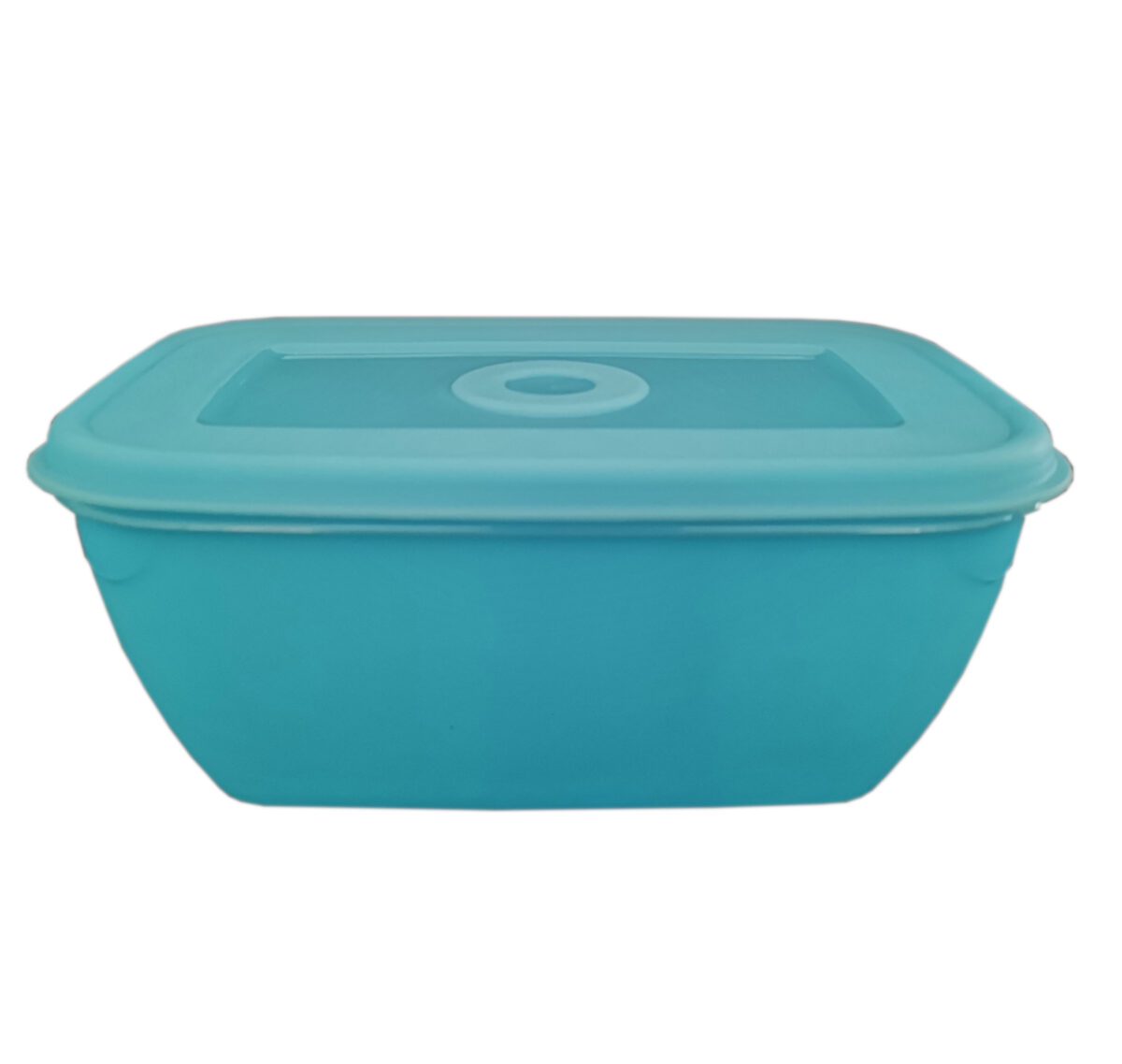 Plastic Container Rectangular with  Matching Lid
