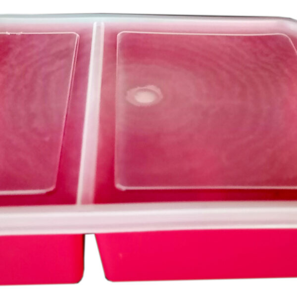 Plastic 2 division lunch box with clear lid