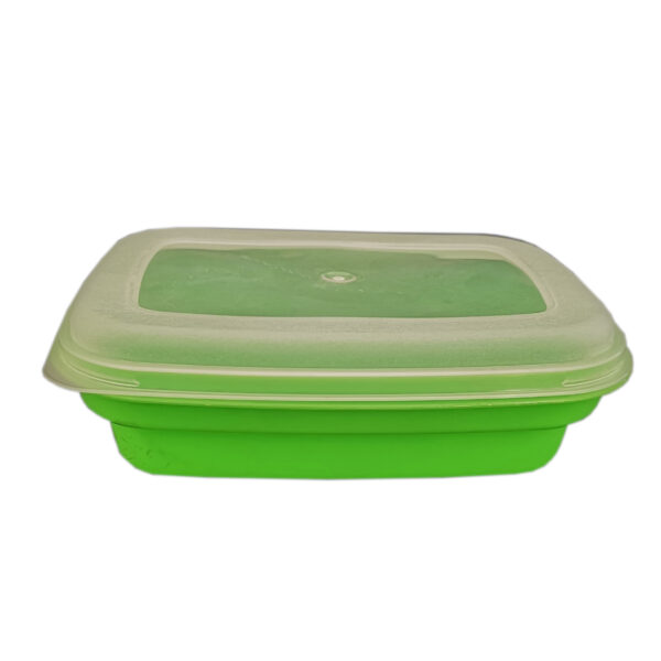 Plastic sandwich container Clear lid